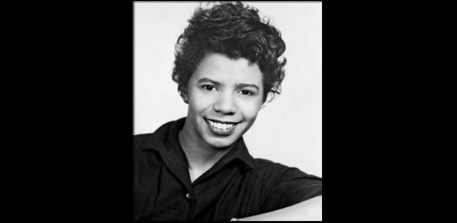 Lorraine Hansberry: black revolution and white backlash