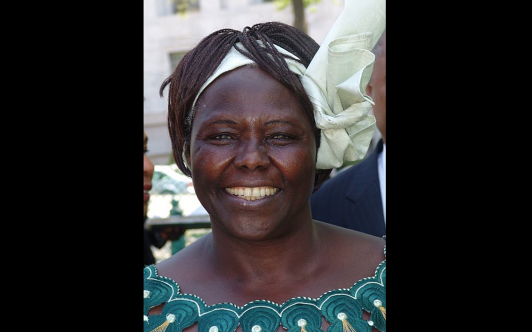 Wangari Maathai tells the hummingbird tale